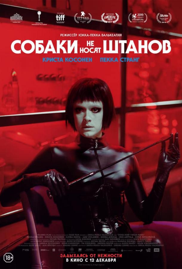 Собаки не носят штанов (2019) онлайн бесплатно