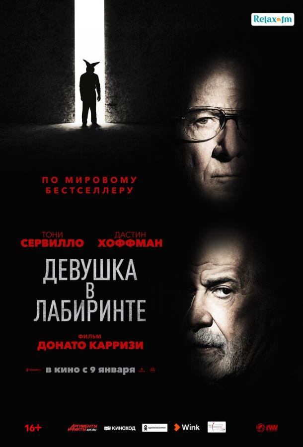 Девушка в лабиринте (2019) онлайн бесплатно