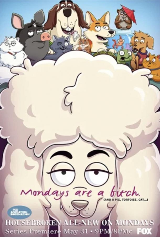 Мой питомец - псих (2021) онлайн бесплатно