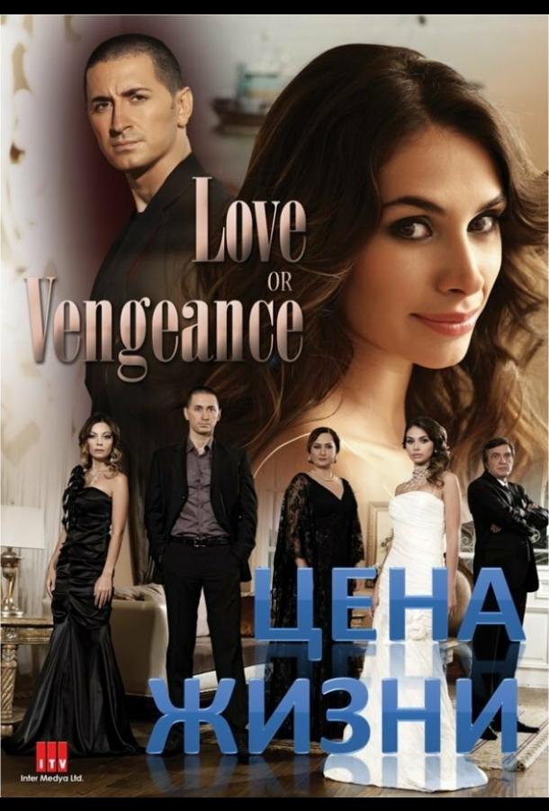 Цена жизни (2009) онлайн бесплатно